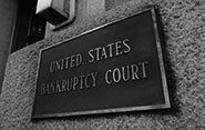 Bankruptcy Records Check - CheckRecords.com